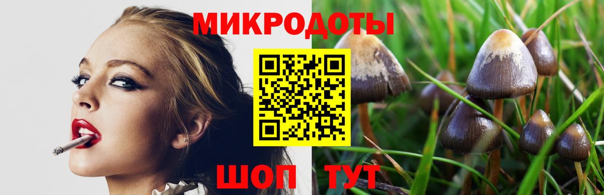 Галлюциногенные грибы ЛСД Советская Гавань